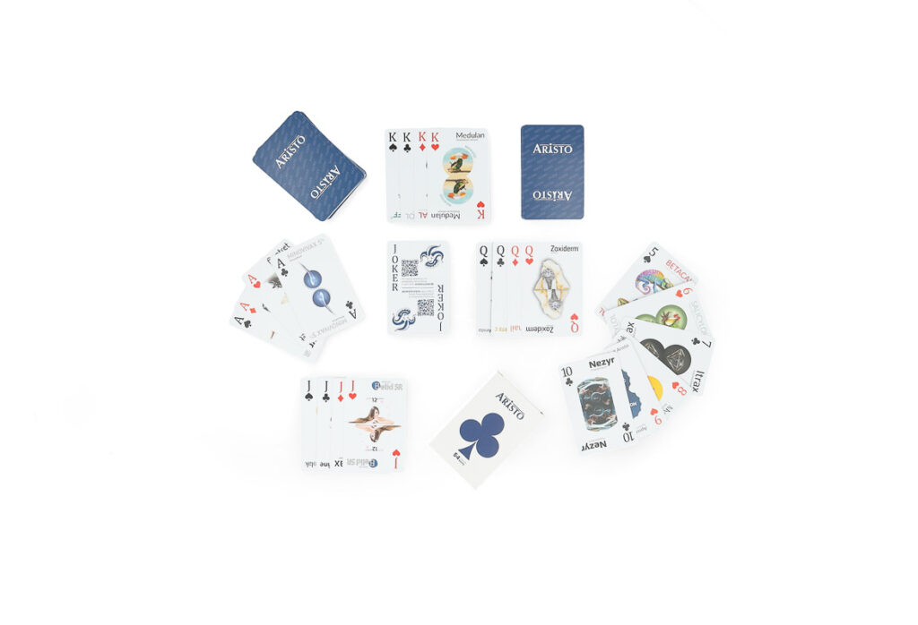 aristo_pharma_kart_do_gry_indywidualny_projekt_dk smart design 3 1024x698